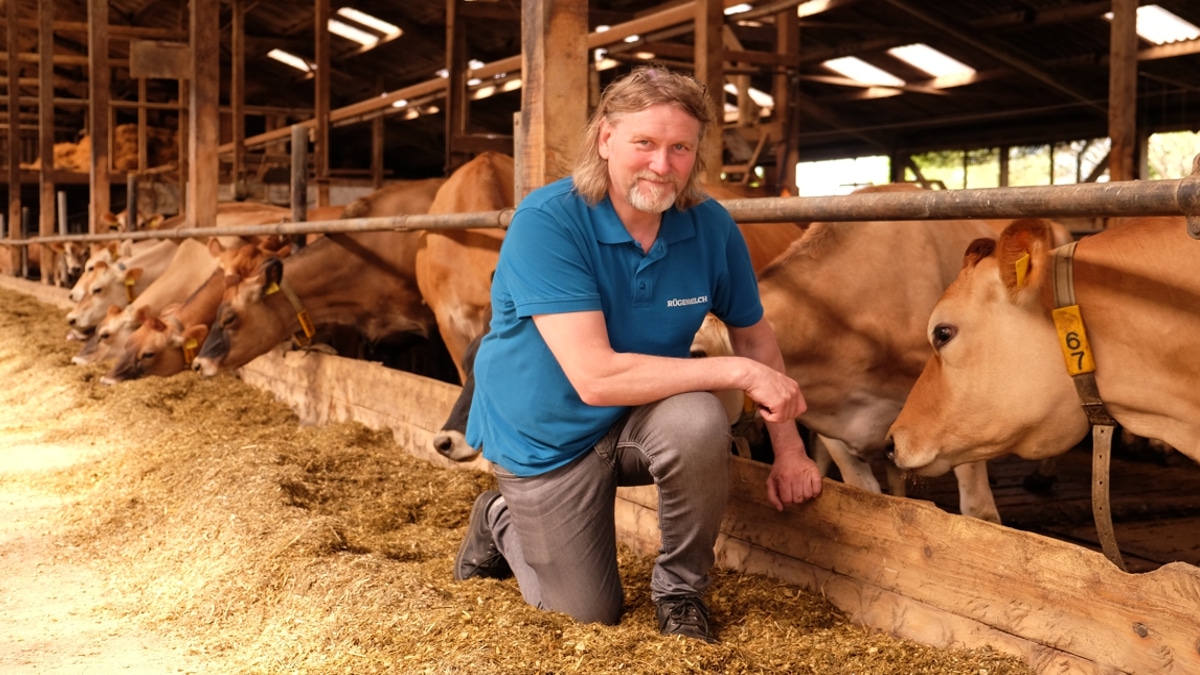 Der Rügener Landwirt Enno Tammling mit seinen Milchkühen.